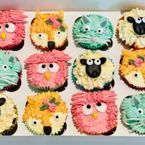 Chocolate and Vanilla Cupcakes
