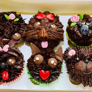 Super Chocolate Cupcakes especially made for Kids