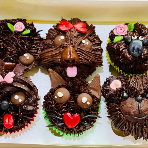 Super Chocolate Cupcakes especially made for Kids