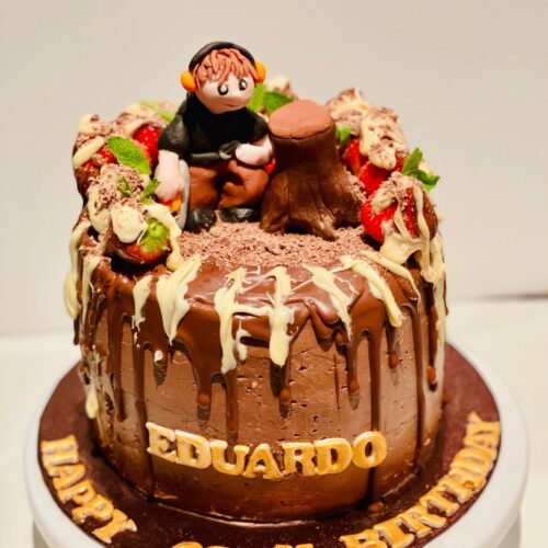 Chocolate Cake with Strawberry  and Tree man Topper