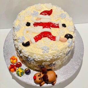 Chocolate Cake with alternative Vanilla Sponge Cake Layers and Raspberry Jam Layers