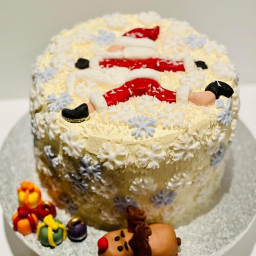 Chocolate Cake with alternative Vanilla Sponge Cake Layers and Raspberry Jam Layers