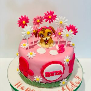 Paw Patrol Sky Birthday Vanilla Sponge Cake with Buttercream filling