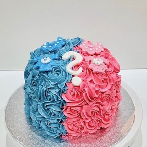 Baby Gender Reveal Cake