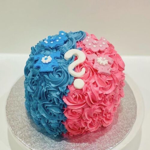 Baby Gender Reveal Cake